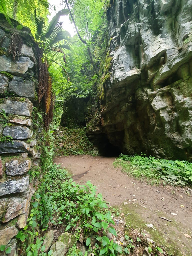 Parsik Magarasi 4 768x1024