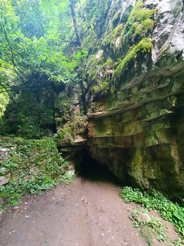 Parsik Magarasi 5 768x1024