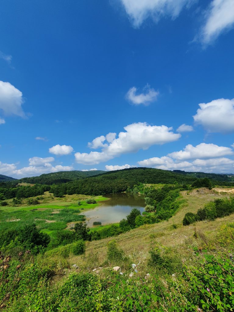 Sarniclar Goleti 2 768x1024