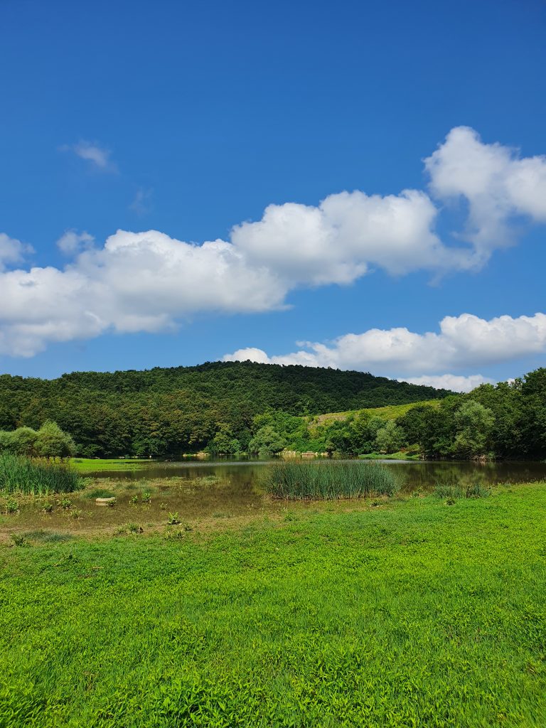 Sarniclar Goleti 4 768x1024