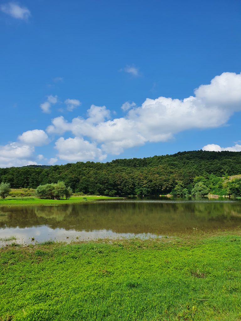 Sarniclar Goleti 6 768x1024