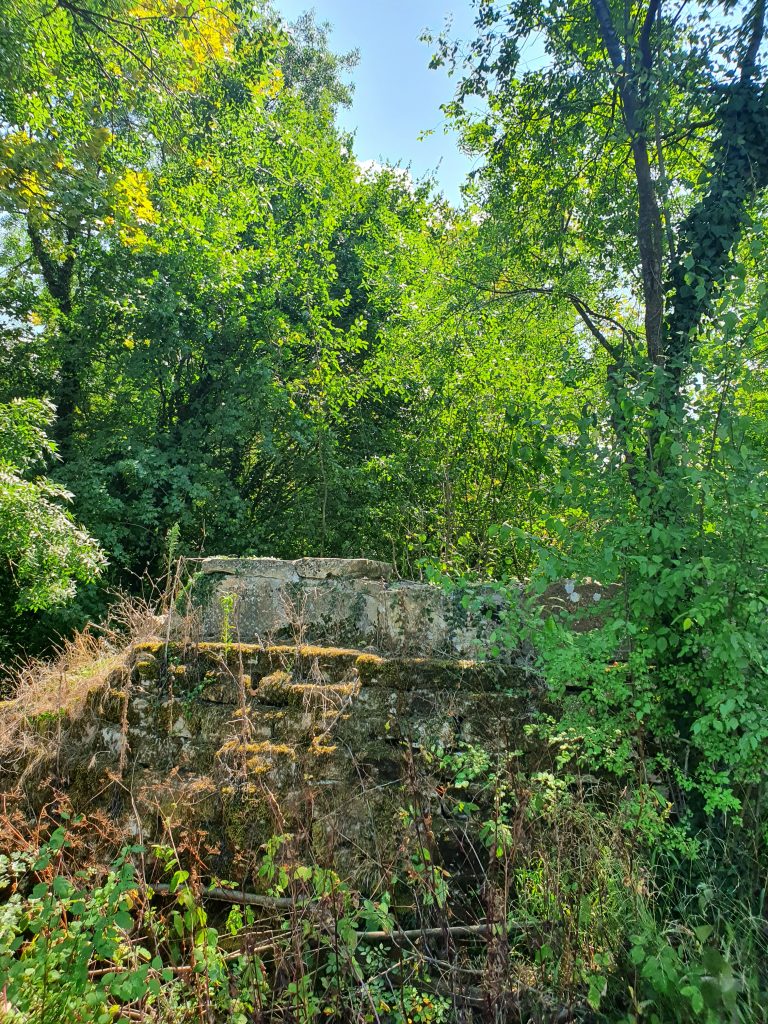 Calca SuDegirmeni Kalintisi 15 768x1024