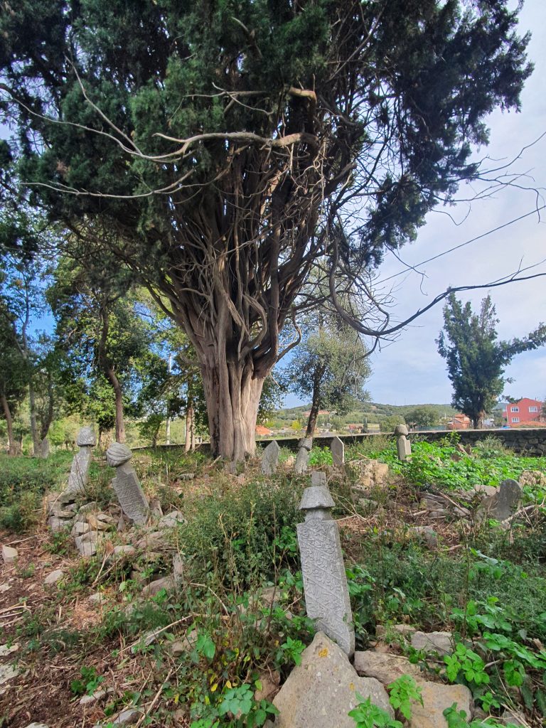 Demirciler Koyu Osmanli Mezarligi 1 768x1024