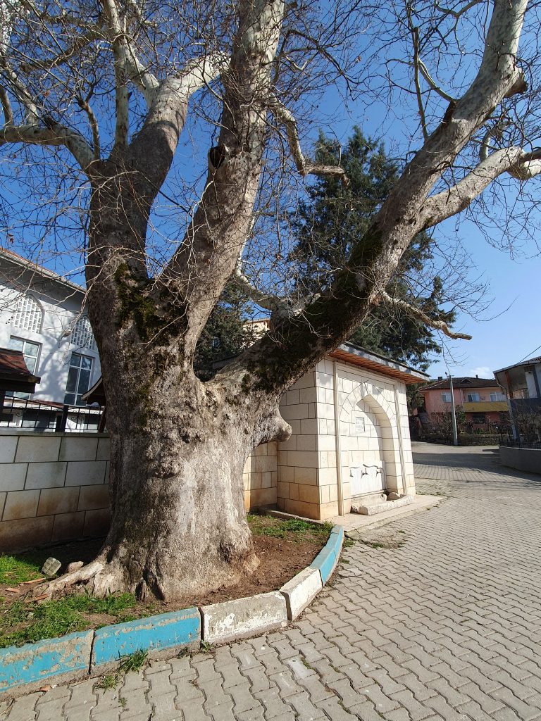 Kirimli Haci Ismail Cesmesi demirciler 2a 768x1024