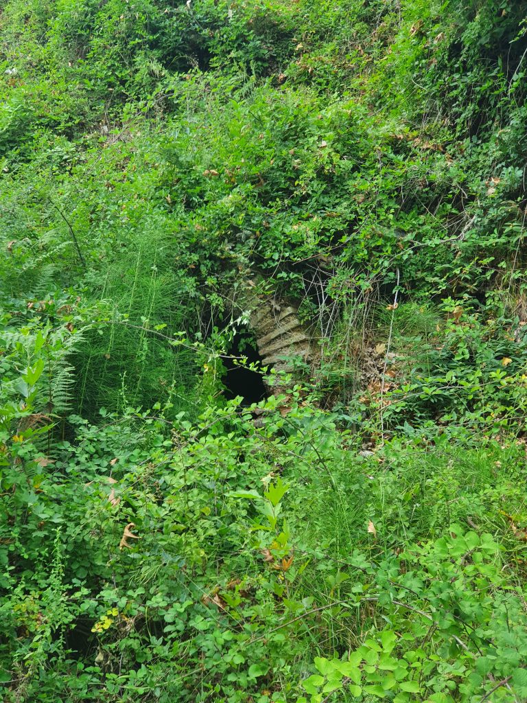 Saricalar Su Kanali 2 768x1024