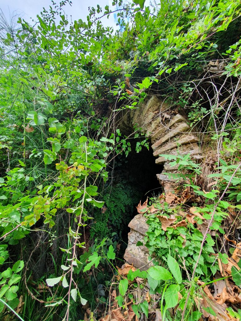 Saricalar Su Kanali 3 768x1024