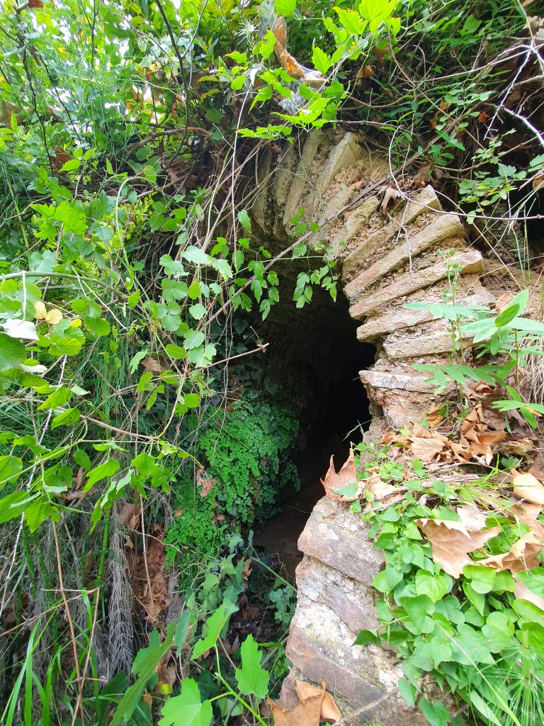 Saricalar Su Kanali 4 768x1024