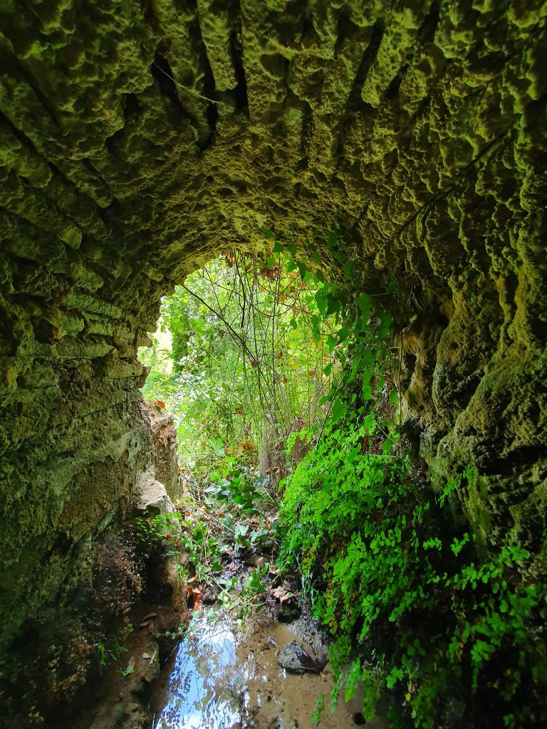 Saricalar Su Kanali 5 768x1024