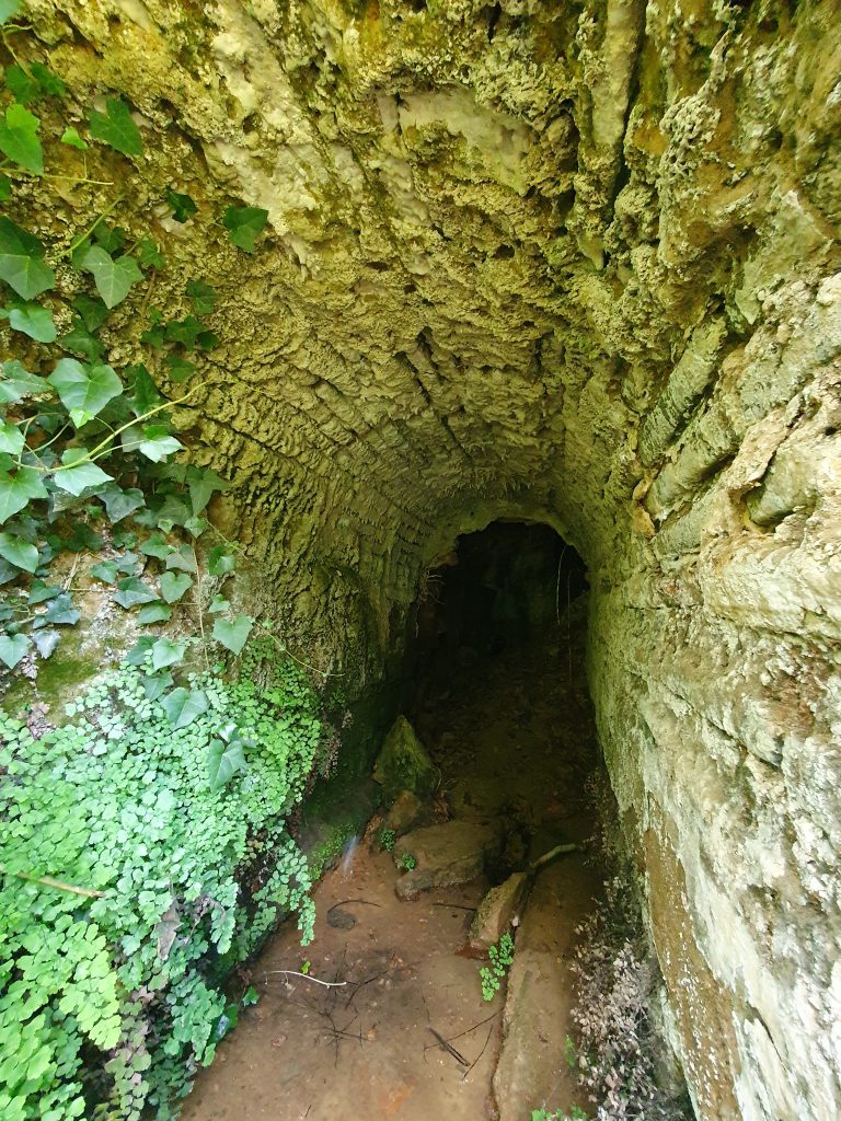 Saricalar Su Kanali 6 768x1024