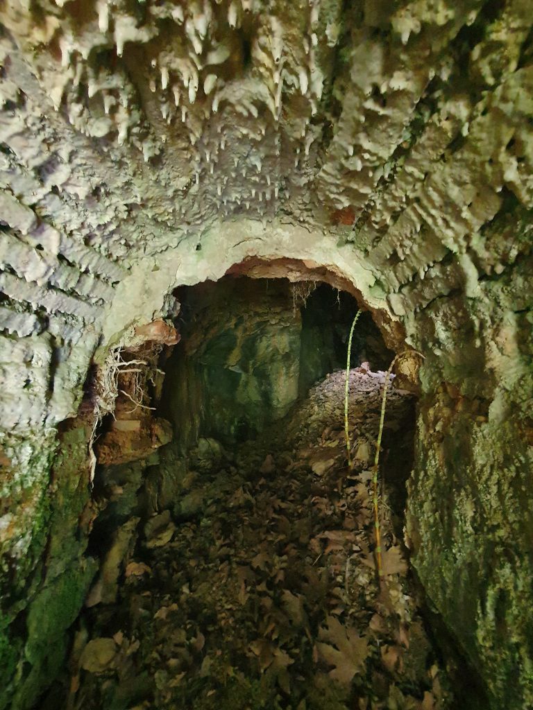 Saricalar Su Kanali 7 768x1024