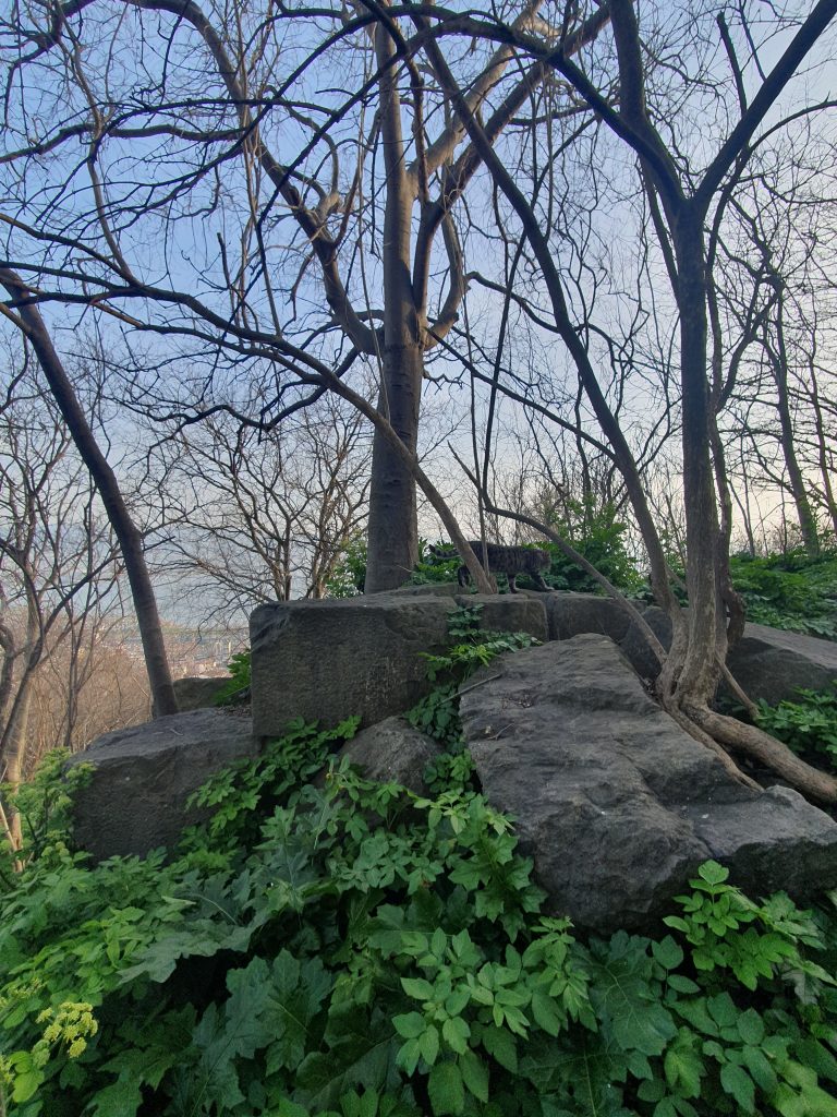 Nikomedia Antik Tiyatrosu Kalintilari 13a 768x1024