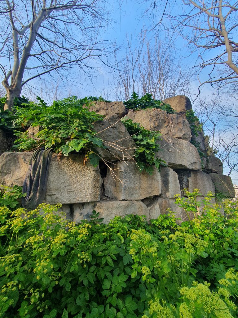 Nikomedia Antik Tiyatrosu Kalintilari 18 768x1024