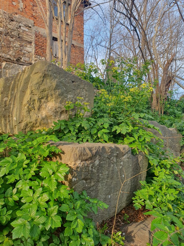 Nikomedia Antik Tiyatrosu Kalintilari 19 768x1024