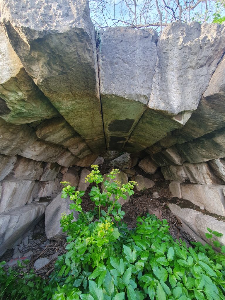 Nikomedia Antik Tiyatrosu Kalintilari 2 768x1024