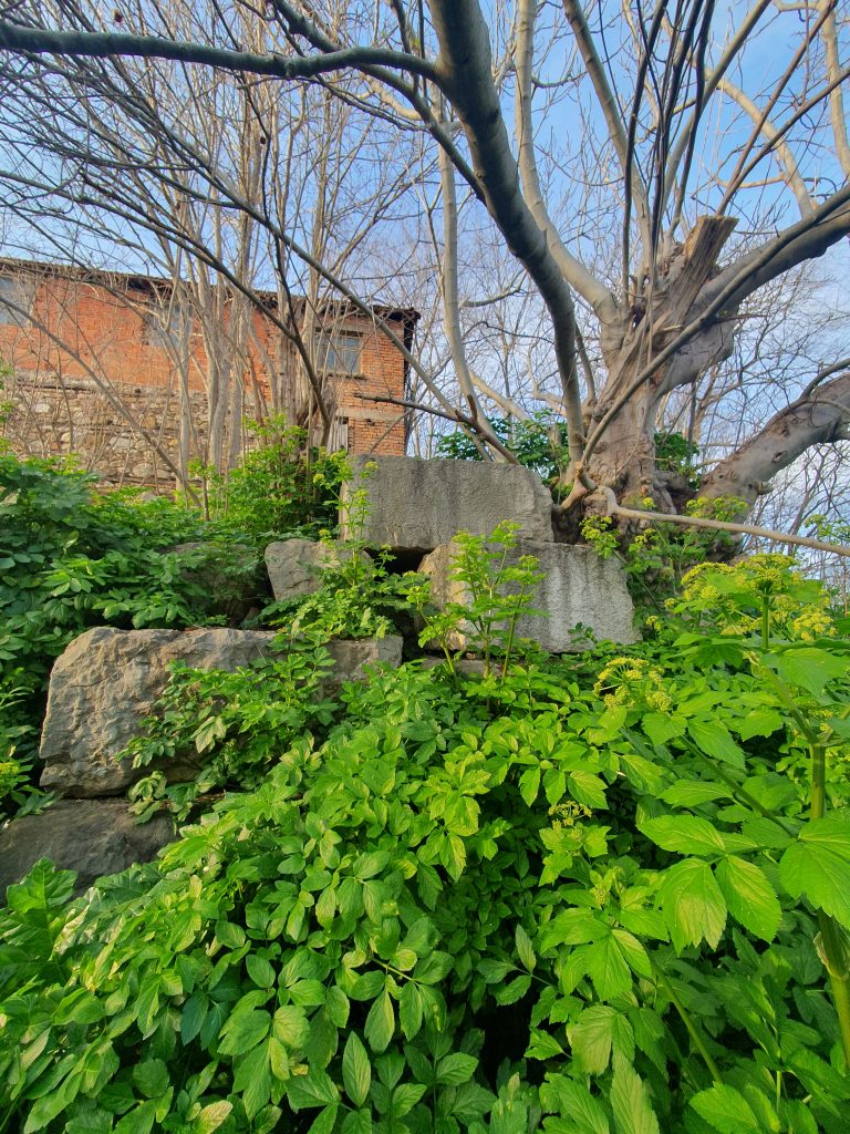 Nikomedia Antik Tiyatrosu Kalintilari 20 768x1024