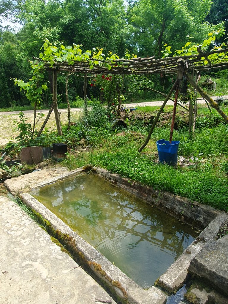 Deli Mahmutlu Koyu Cesmesi Lahit 7 768x1024