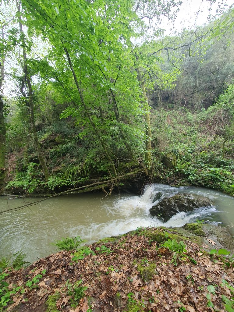 Agadere Kanyonu Selaleleri 17 768x1024