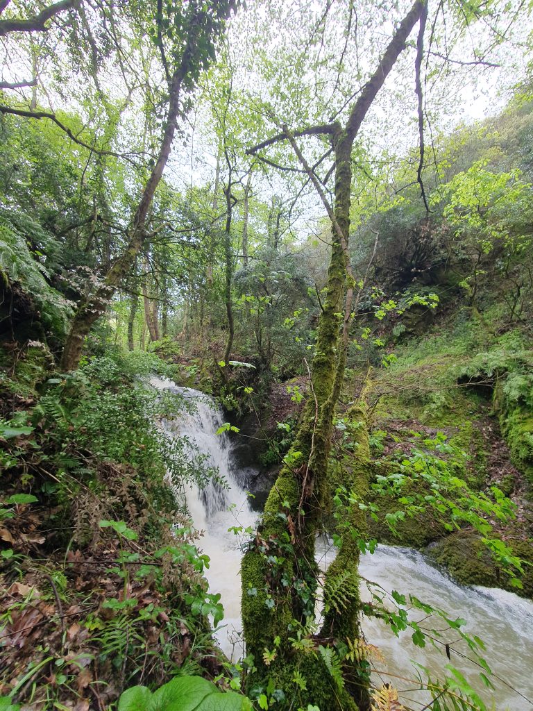 Agadere Kanyonu Selaleleri 24 768x1024