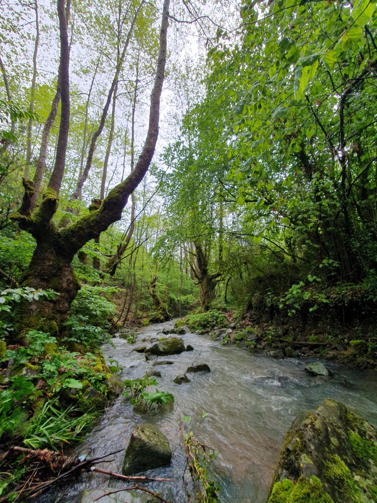 Agadere Kanyonu Selaleleri 29 768x1024