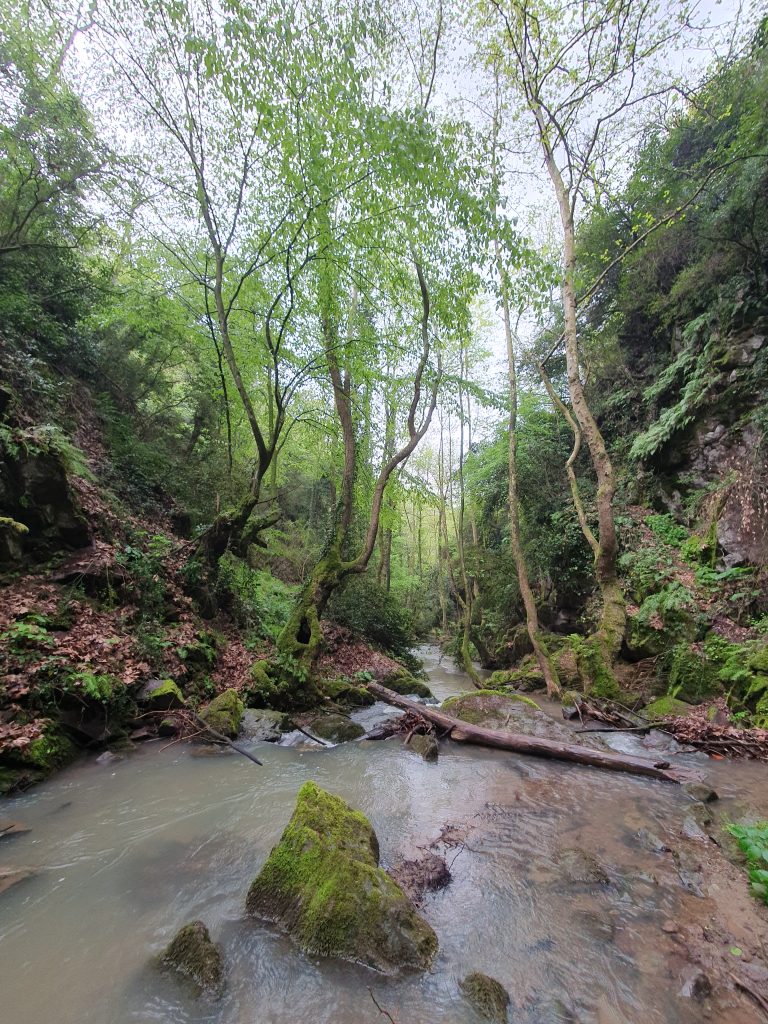 Agadere Kanyonu Selaleleri 36 768x1024