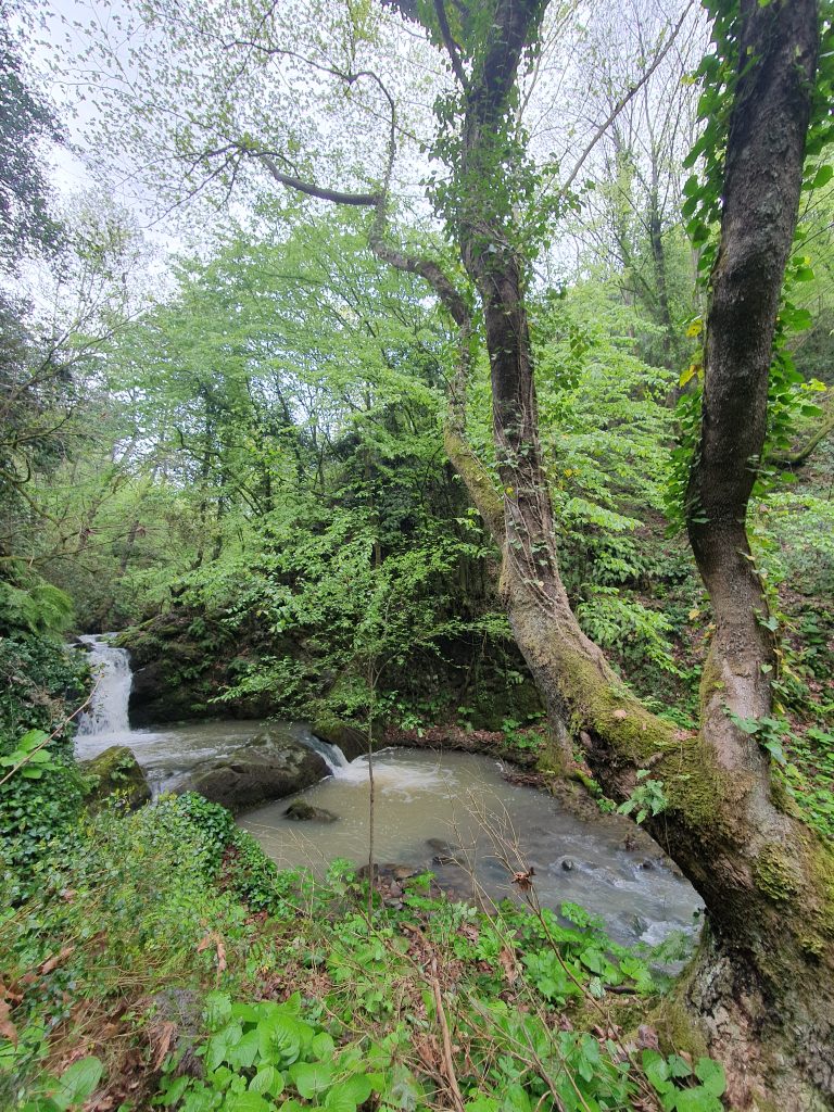 Agadere Kanyonu Selaleleri 43 768x1024