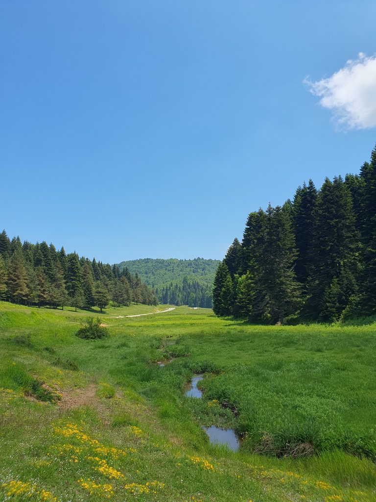 Inonu Yaylasi 12 768x1024