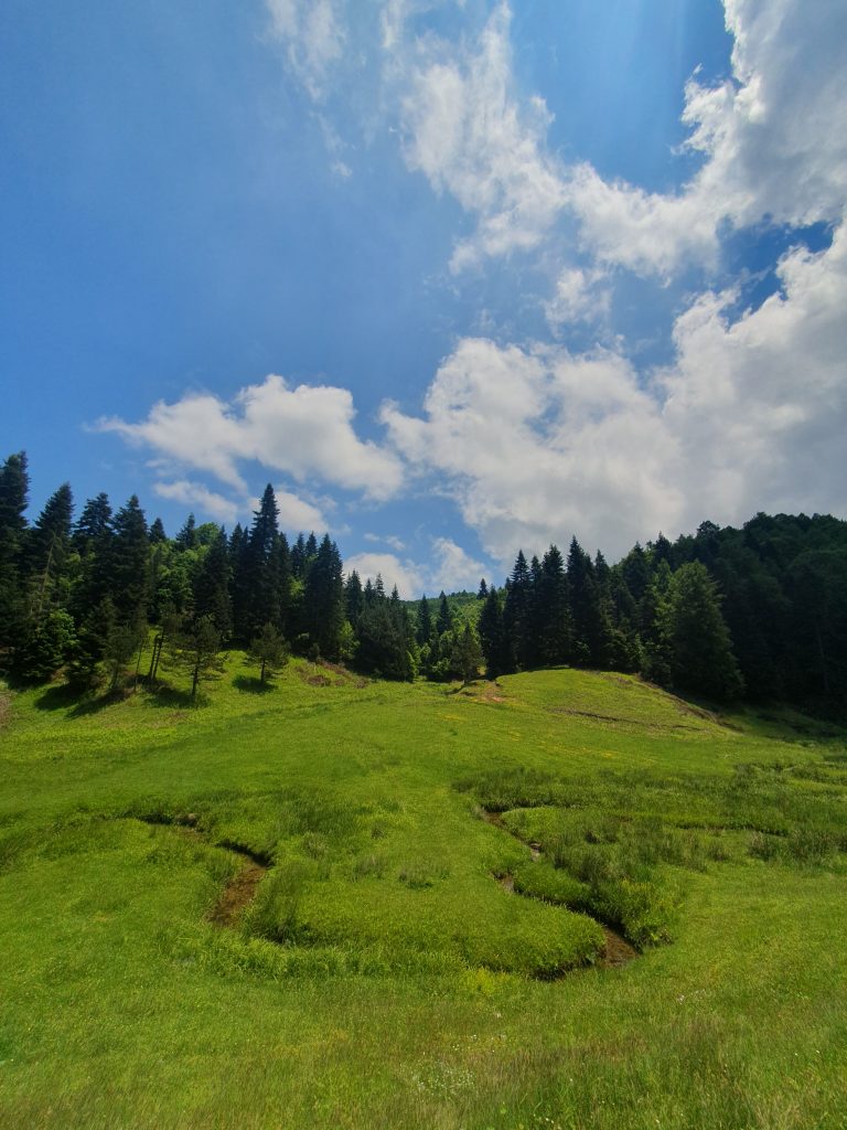 Inonu Yaylasi 19 768x1024