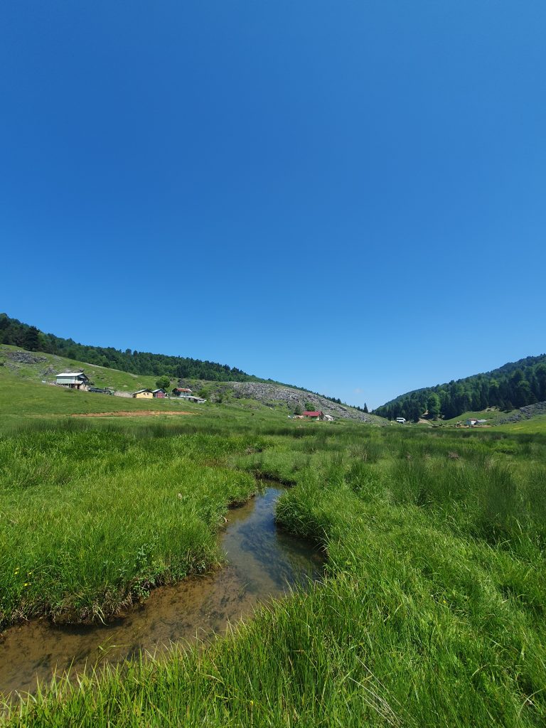 Inonu Yaylasi 2 768x1024