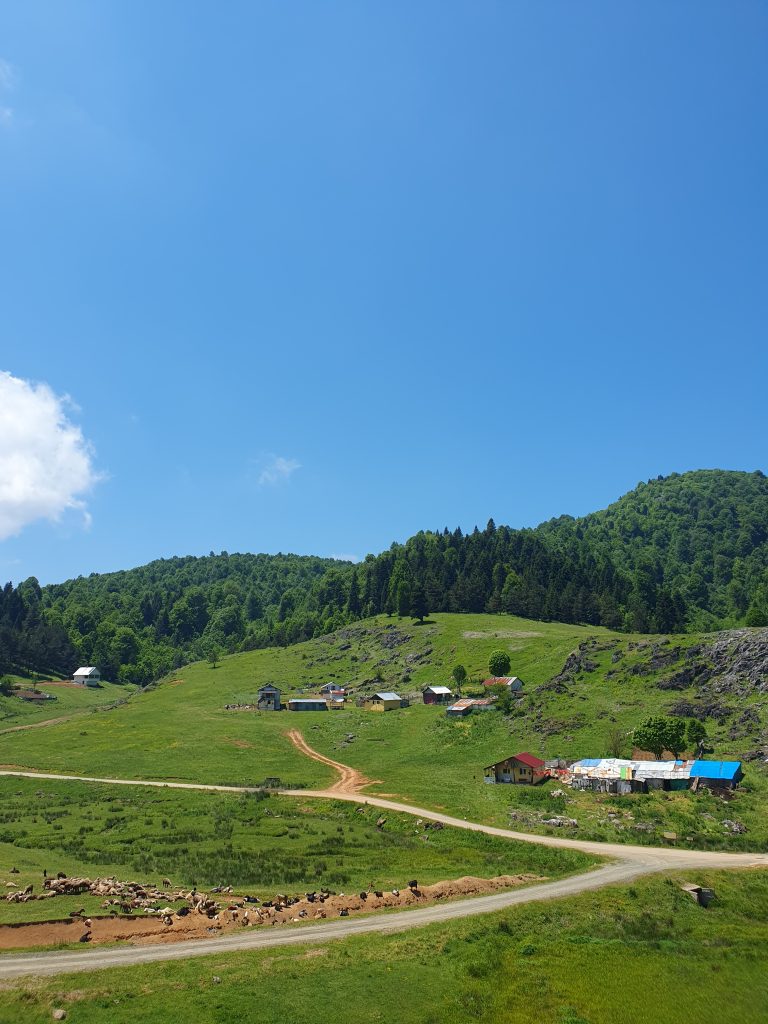 Inonu Yaylasi 20 768x1024
