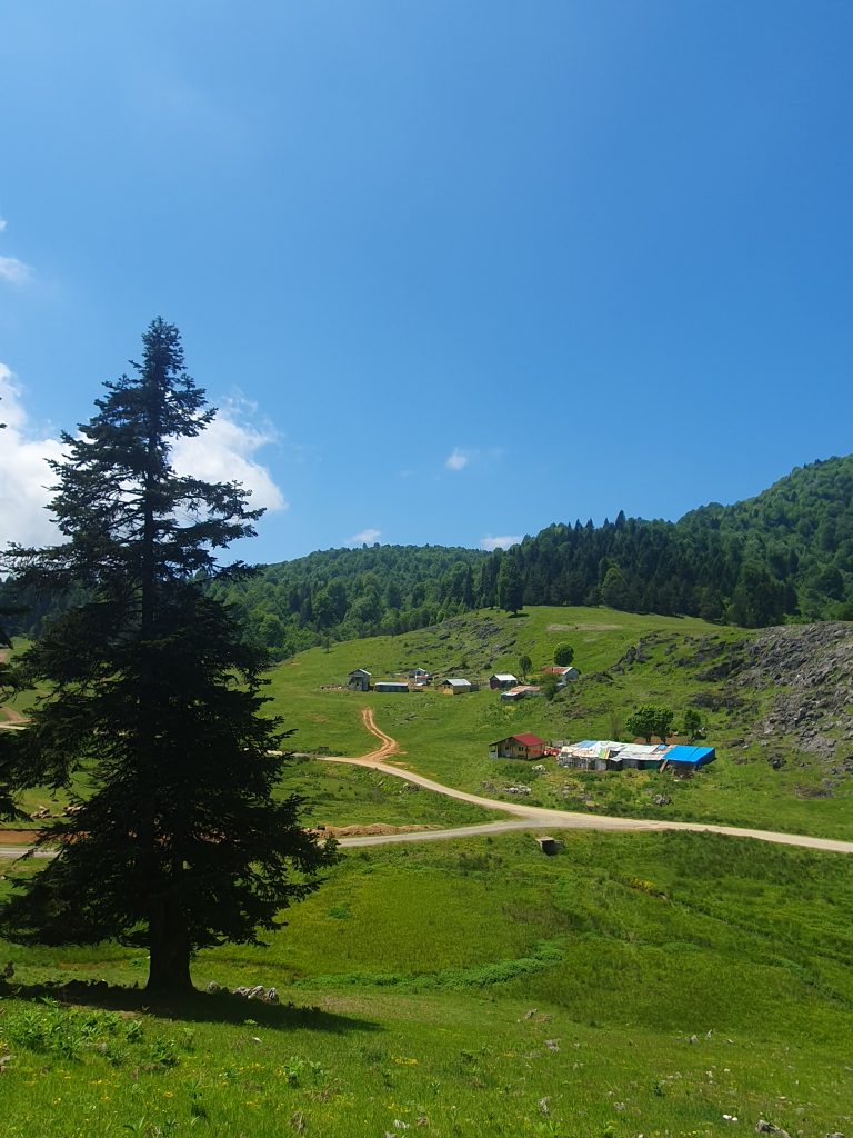 Inonu Yaylasi 21 768x1024