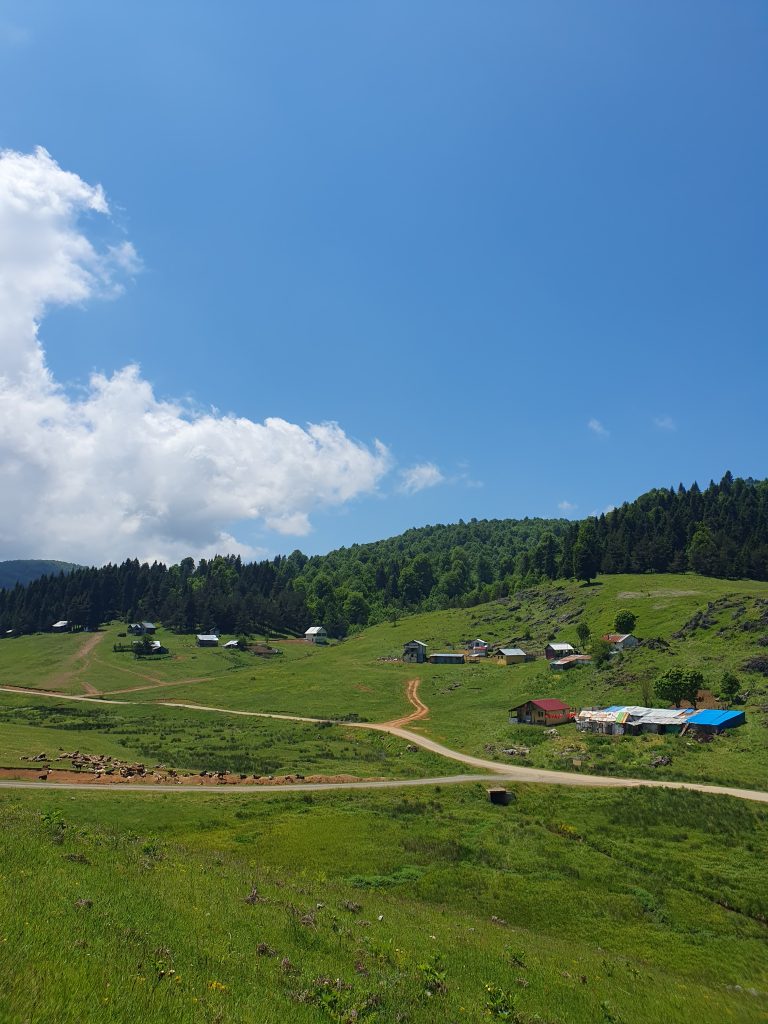 Inonu Yaylasi 22 768x1024