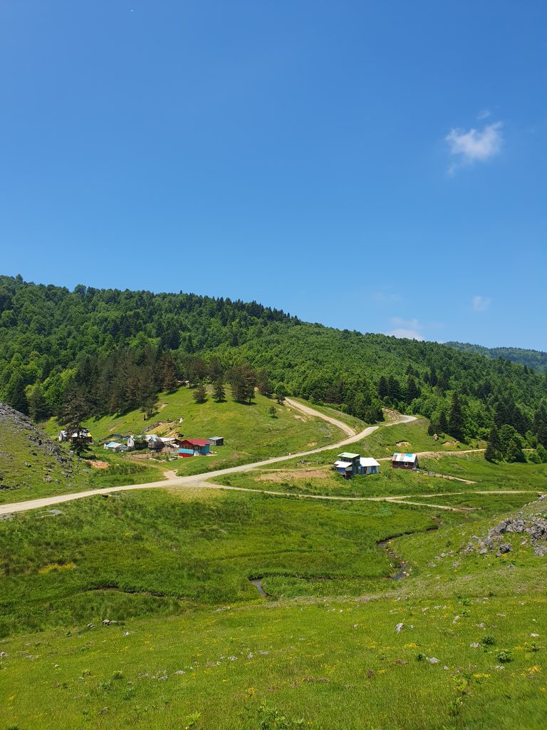 Inonu Yaylasi 23 768x1024