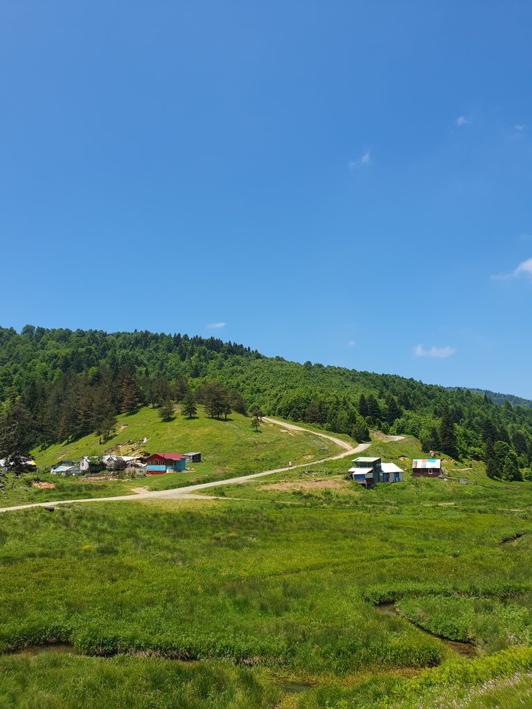 Inonu Yaylasi 24 768x1024