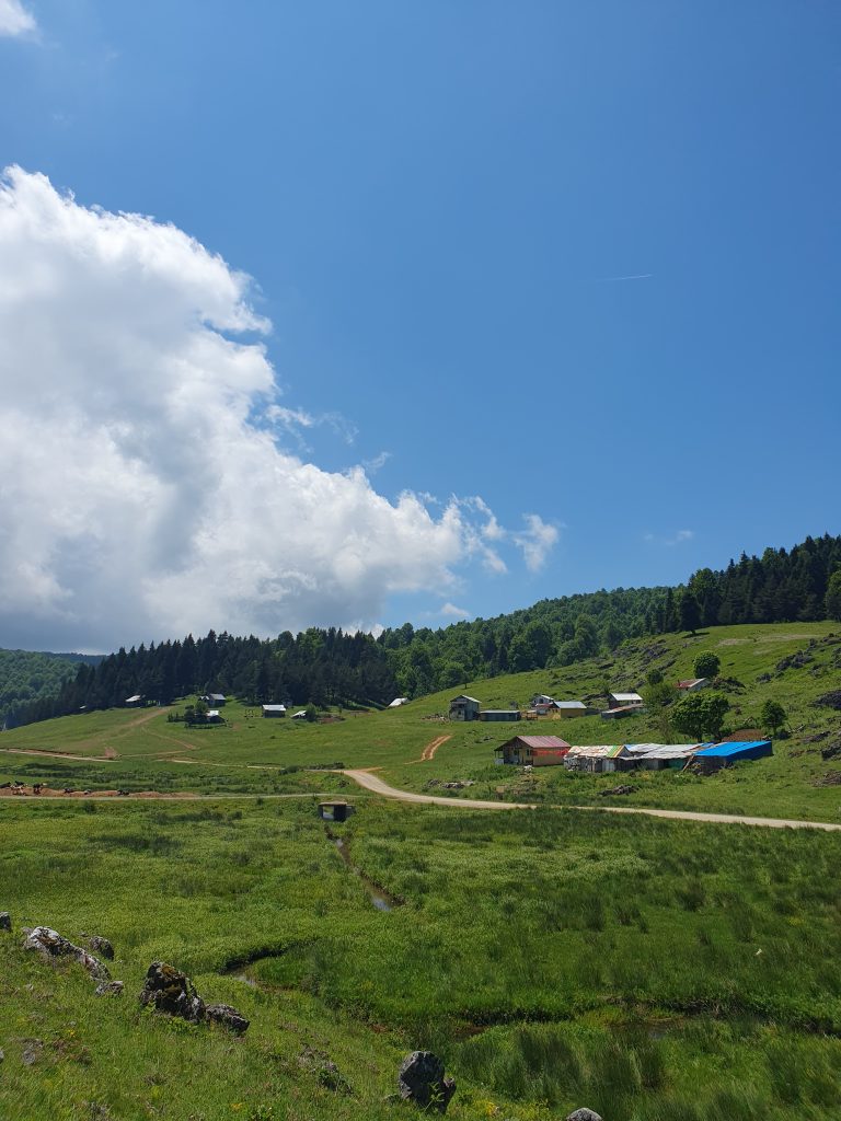 Inonu Yaylasi 25 768x1024