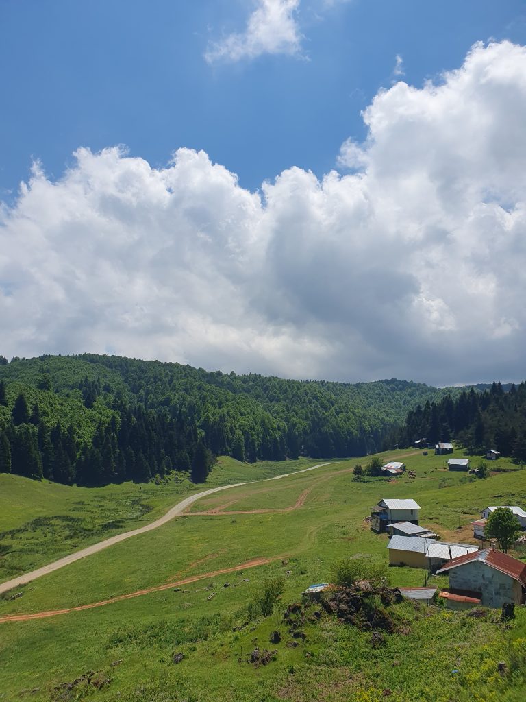 Inonu Yaylasi 26 768x1024