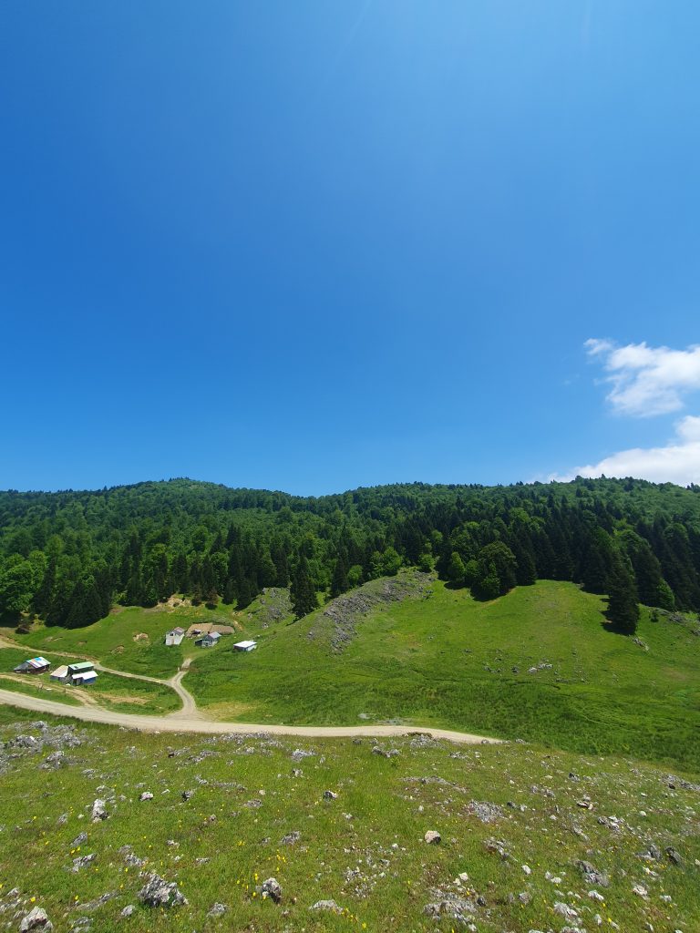 Inonu Yaylasi 28 768x1024