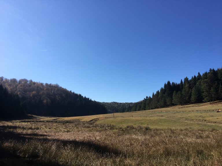 Inonu Yaylasi 29 768x576
