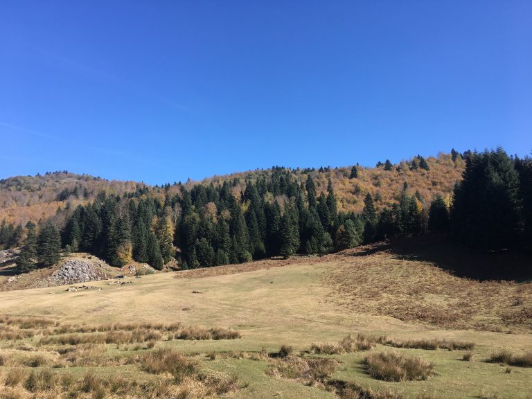 Inonu Yaylasi 30 768x576