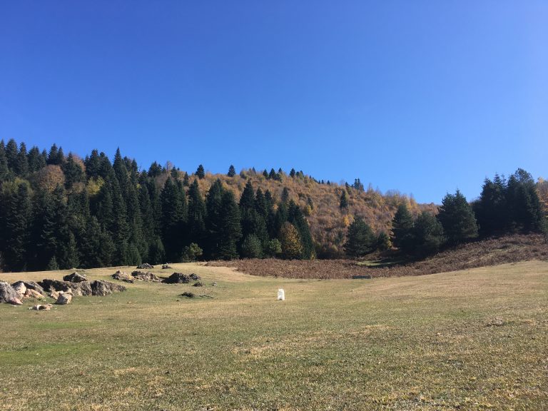 Inonu Yaylasi 33 768x576