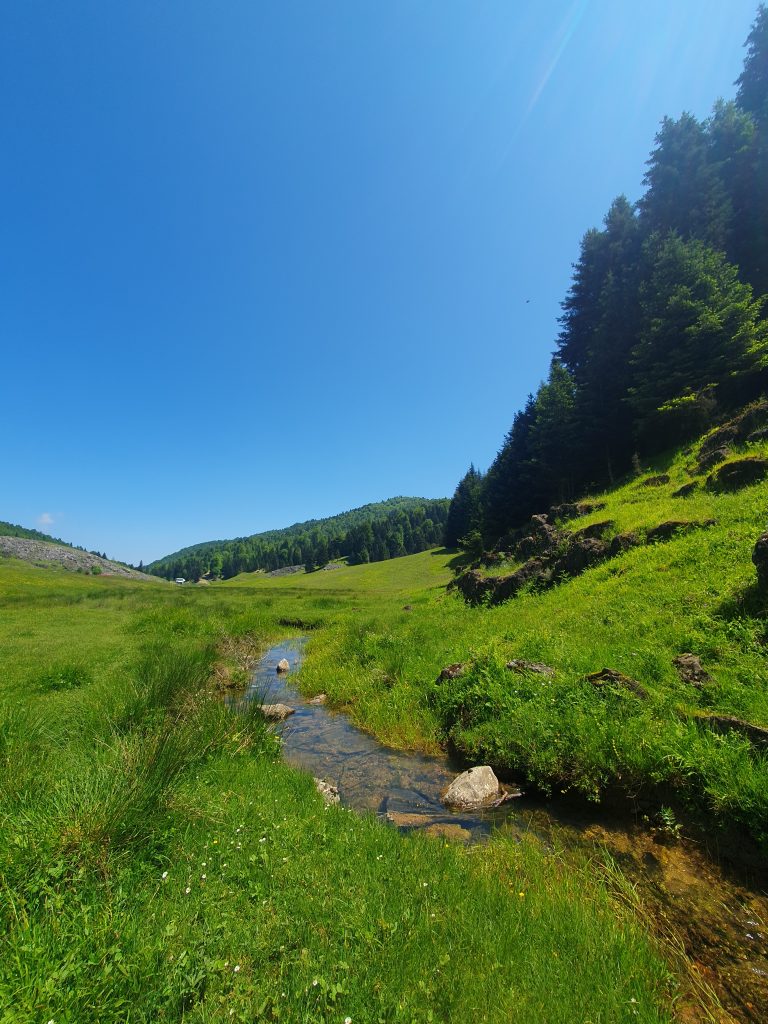 Inonu Yaylasi 4 768x1024