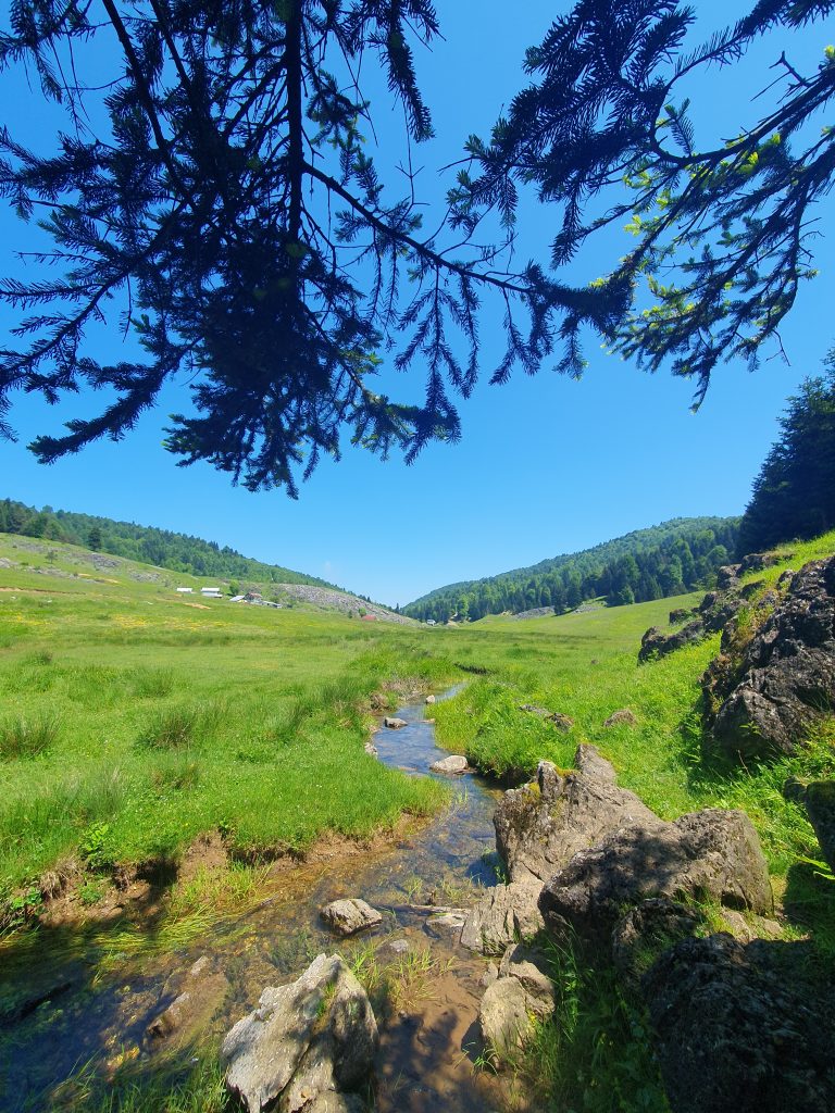 Inonu Yaylasi 5 768x1024