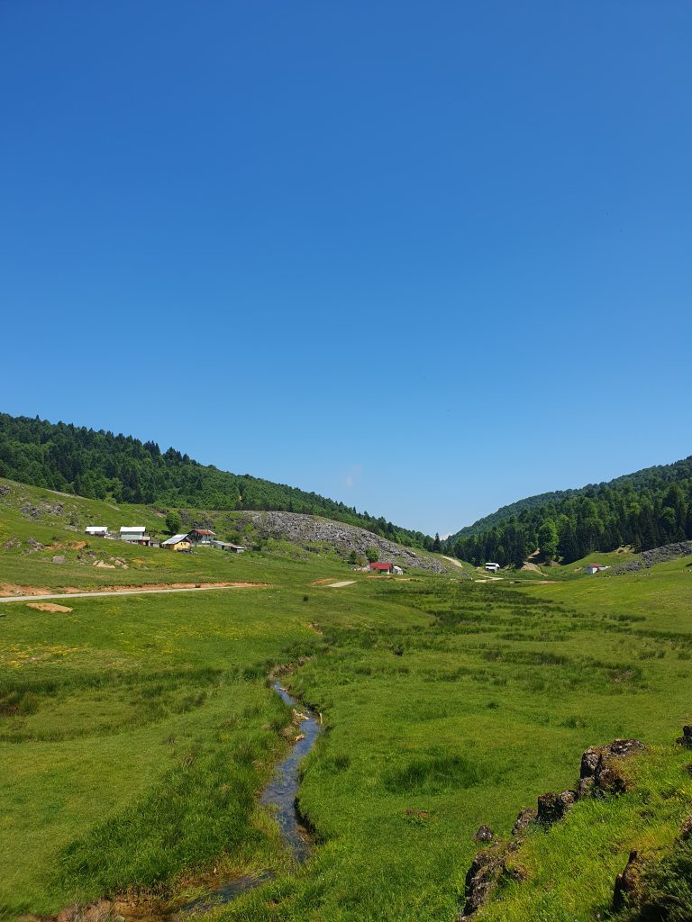 Inonu Yaylasi 6 768x1024