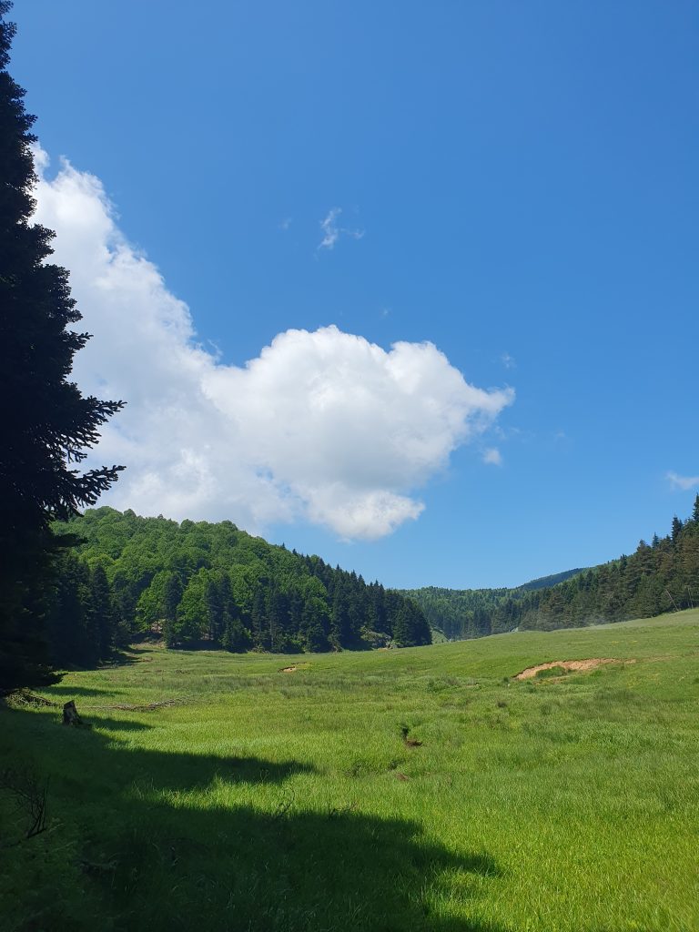 Inonu Yaylasi 7 768x1024