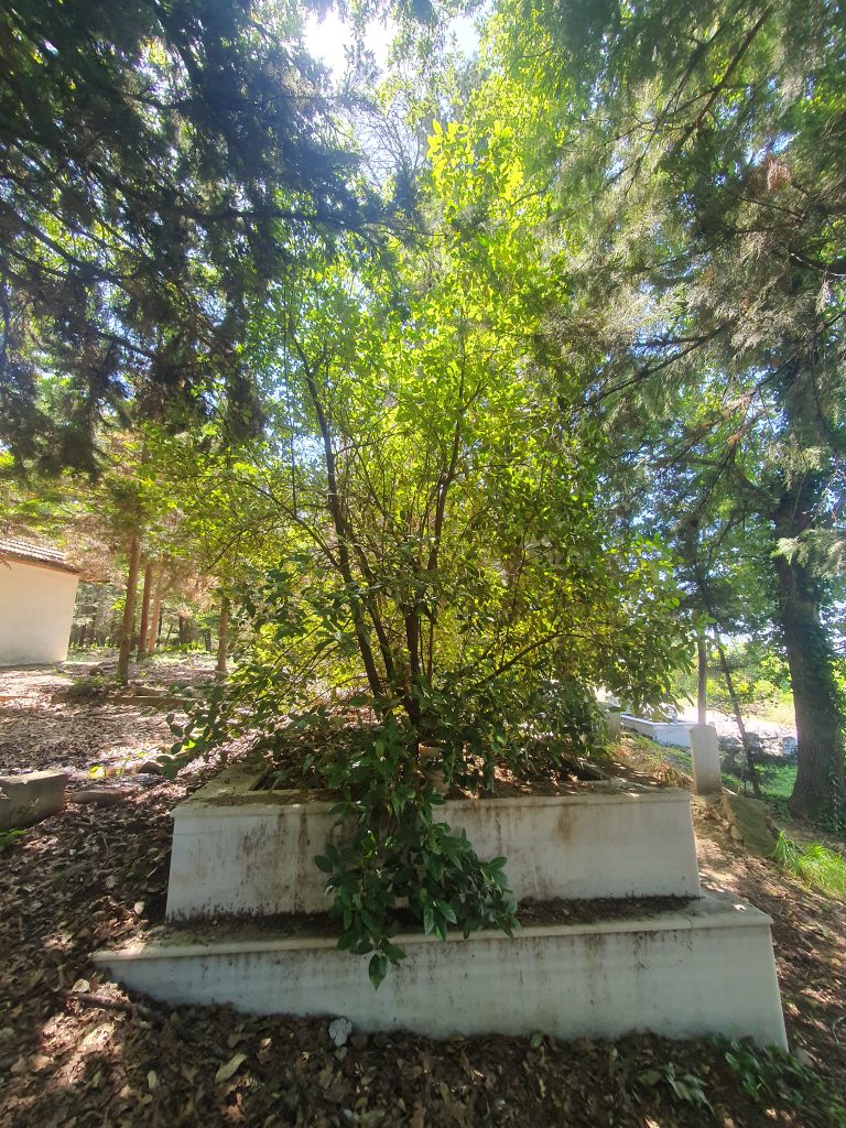 Akca Dede Turbesi 5 768x1024