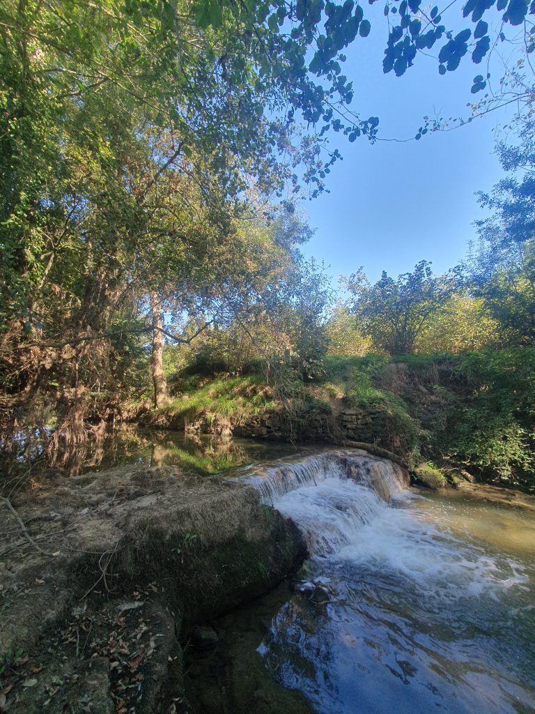 Kizilcapinar Alaybey Su Bendi 2 768x1024