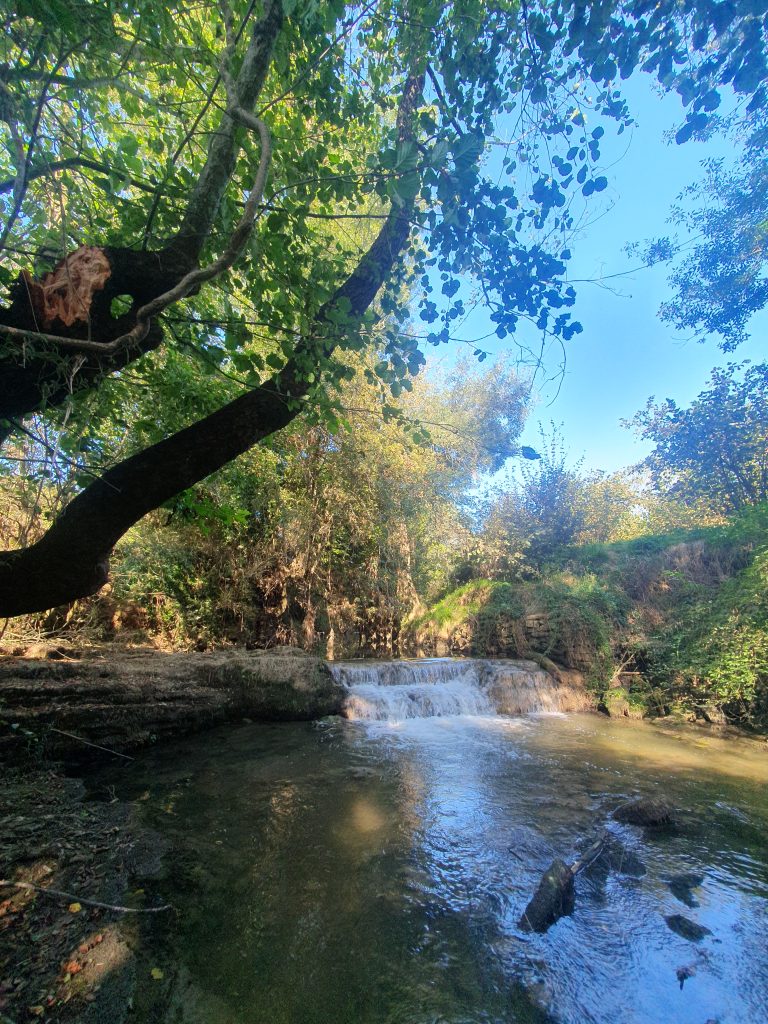 Kizilcapinar Alaybey Su Bendi 5 768x1024