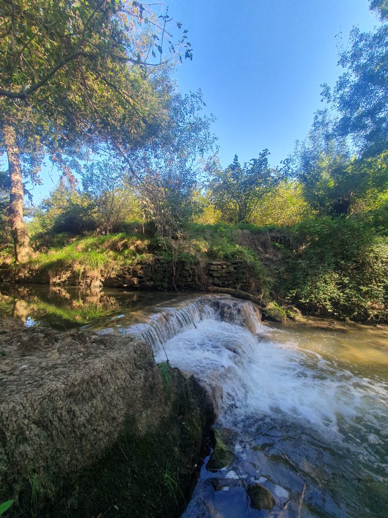 Kizilcapinar Alaybey Su Bendi 8 768x1024
