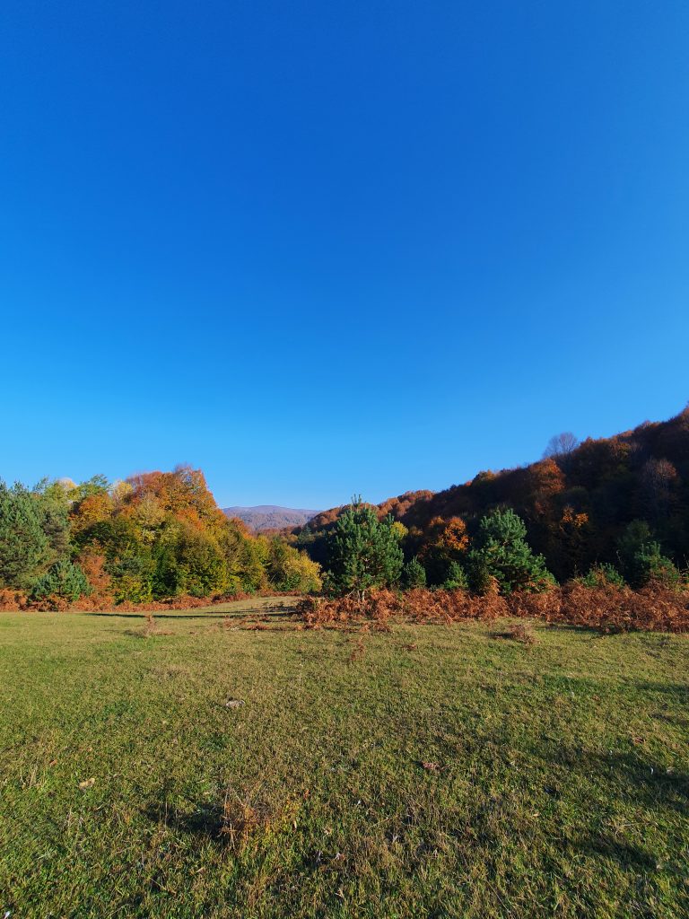 Subatimi Yaylasi 5 768x1024
