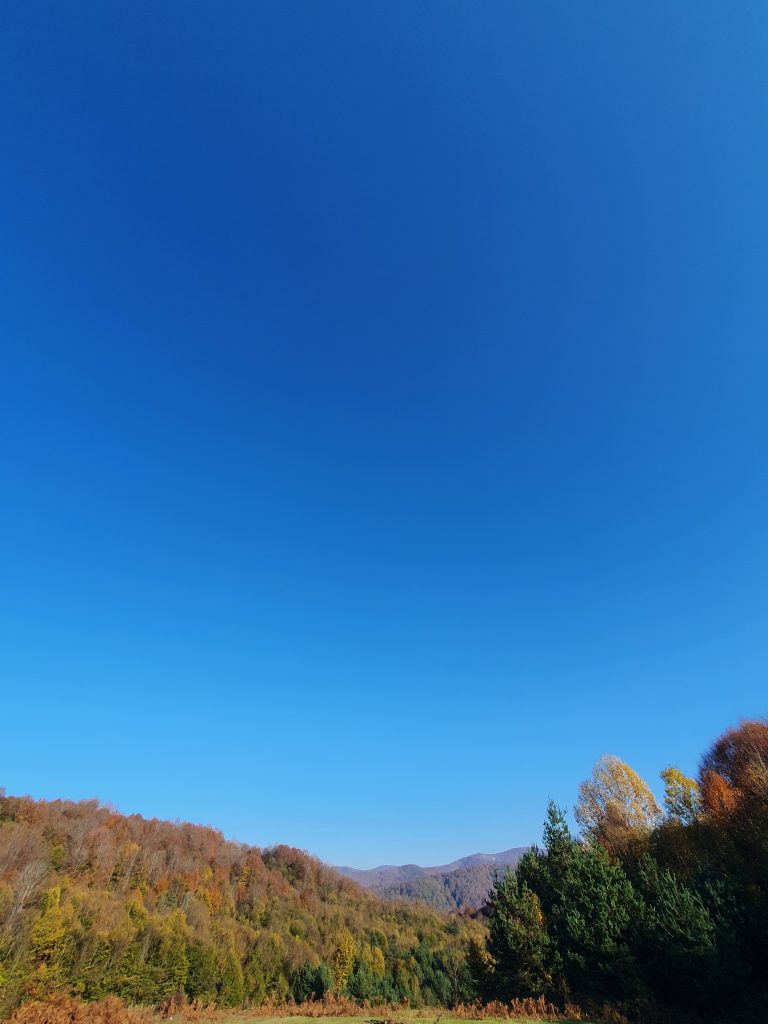 Subatimi Yaylasi 8 768x1024