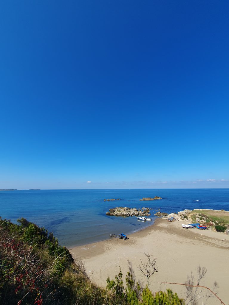 Tuzagzi Koyu 16 768x1024